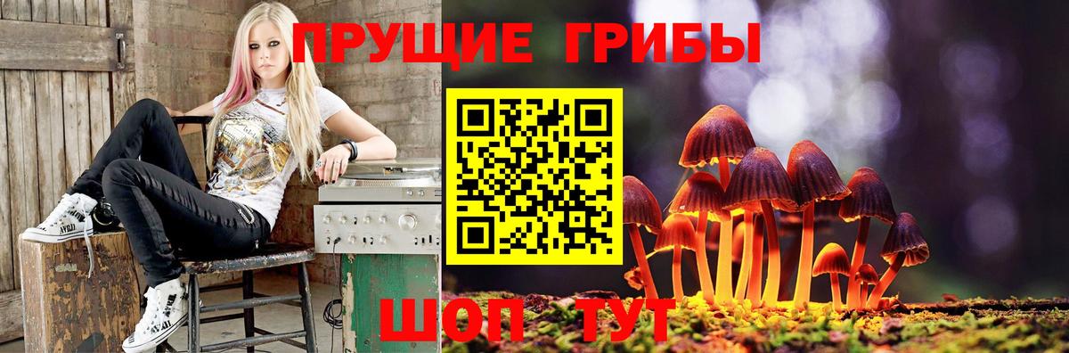 Псилоцибиновые грибы мицелий  Галлюциногенные грибы прущие грибы  Сокол  Вход с VPN 